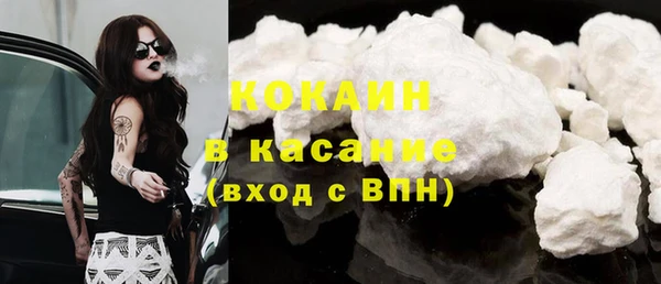 прущие грибы Абинск