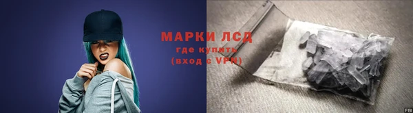 прущие грибы Абинск