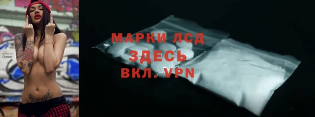 прущие грибы Абинск